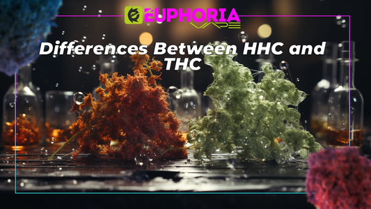 Differences Between HHC and THC